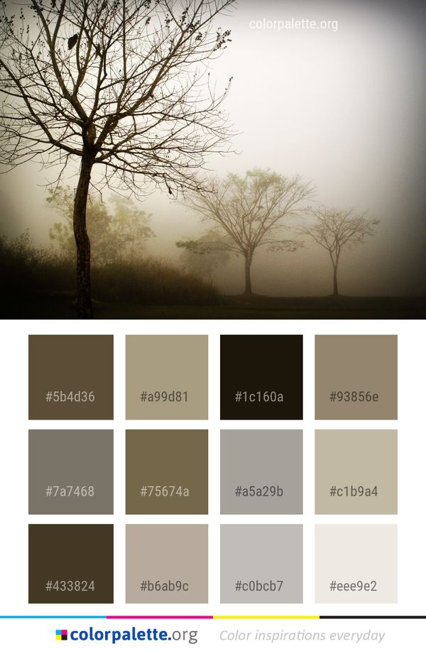Fog Tree Branch Color Palette