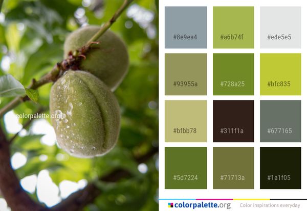 Fruit Tree Color Palette