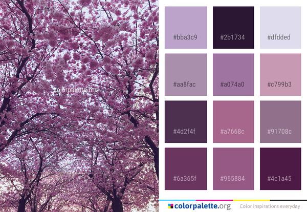 Pink Tree Blossom Color Palette