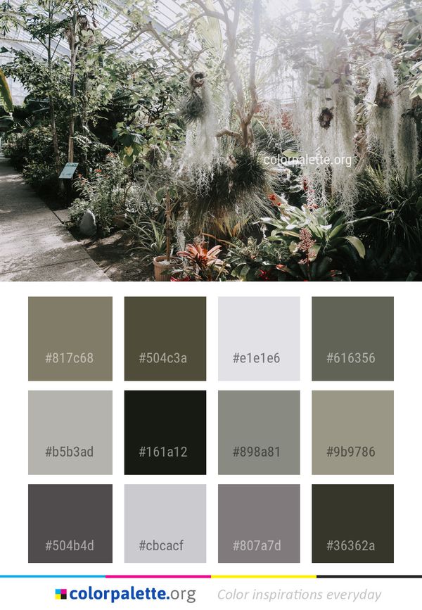 Plant Vegetation Flora Color Palette