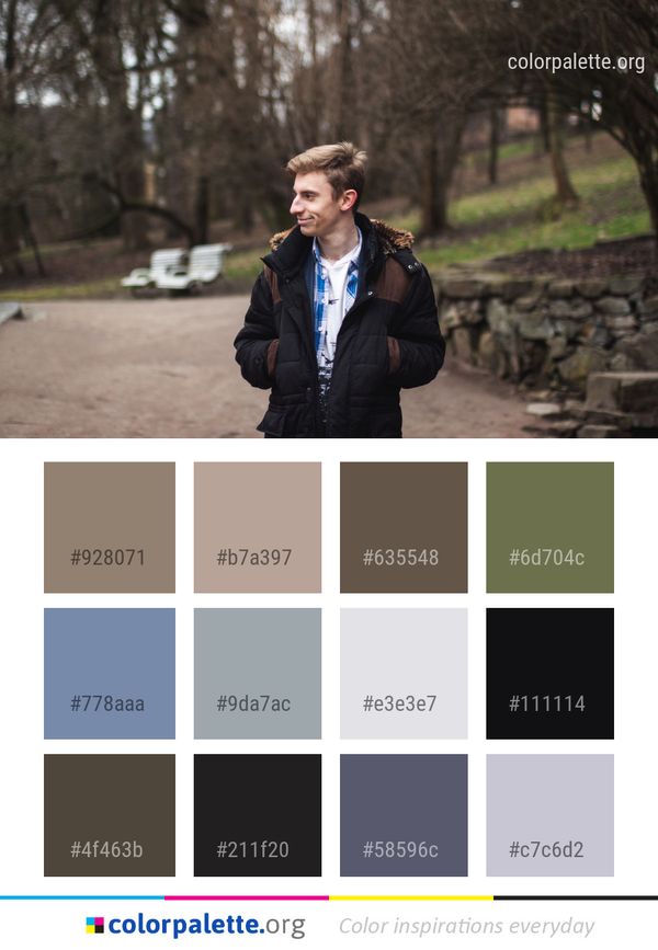 Tree Photograph Woody Plant Color Palette