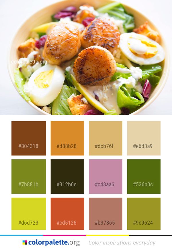 Dish Salad Food Color Palette