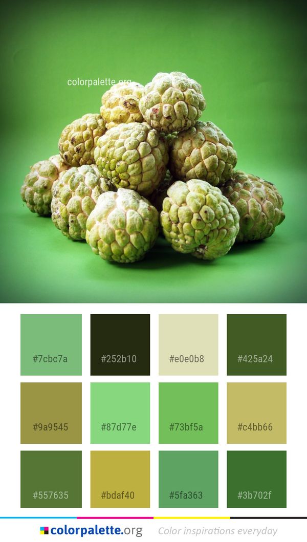 Fruit Sugar Apple Annona Color Palette