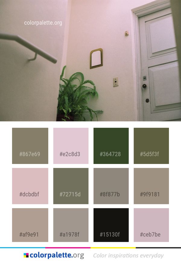 Green Wall House Color Palette