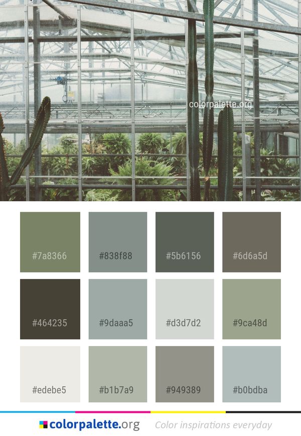 Greenhouse Structure Outdoor Color Palette