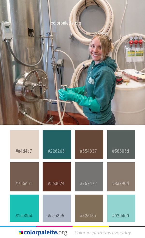 Medical Equipment Service Washing Color Palette