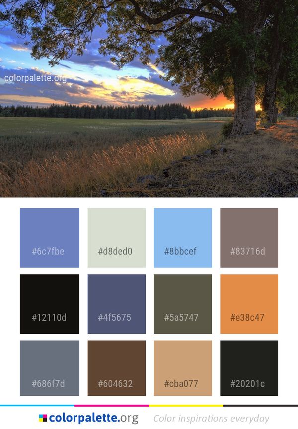 Nature Sky Tree Color Palette