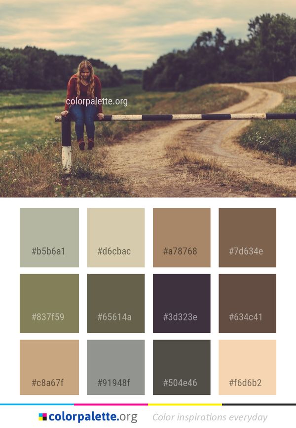 Photograph Nature Path Color Palette