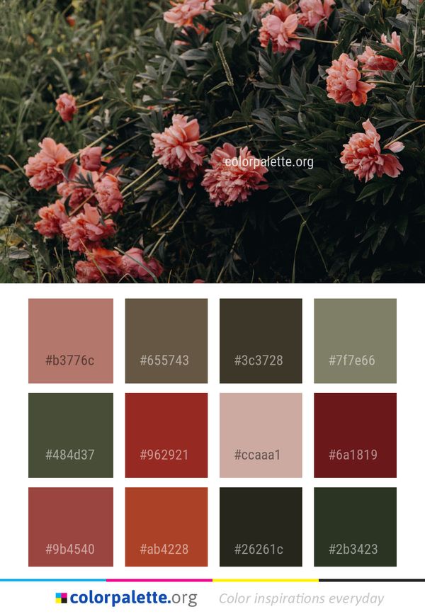 Plant Flower Flora Color Palette