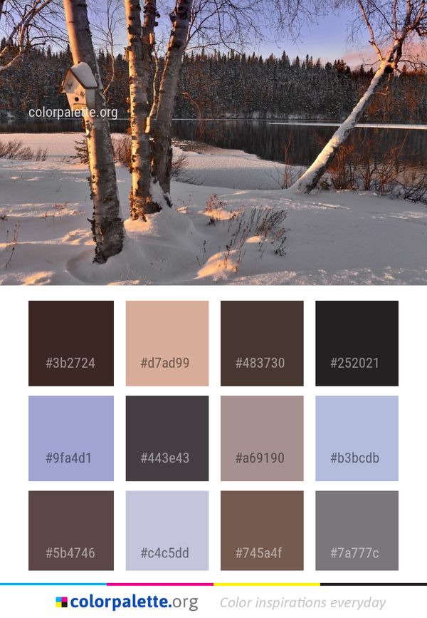 Snow Winter Tree Color Palette