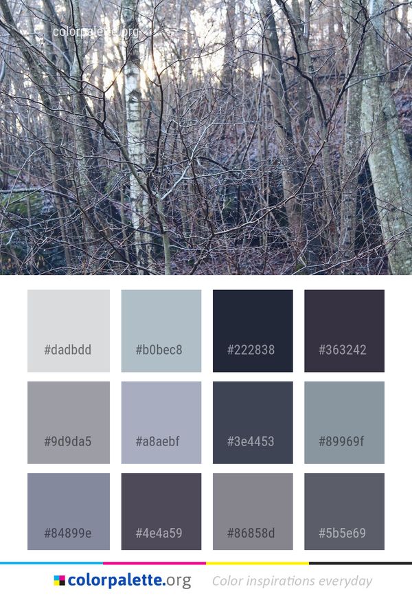 Tree Branch Ecosystem Color Palette