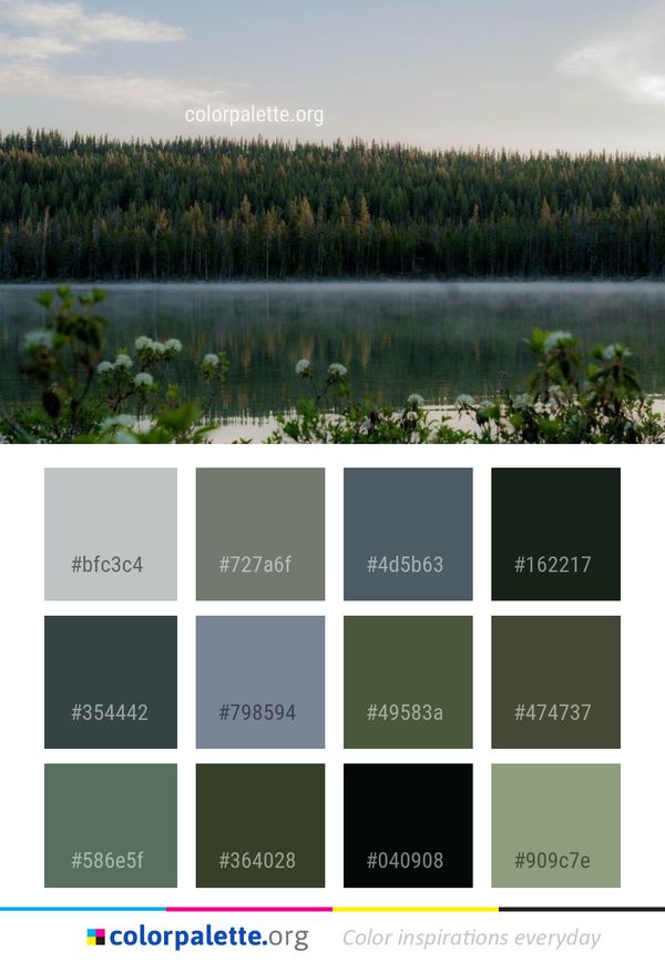 Water Reflection Vegetation Color Palette