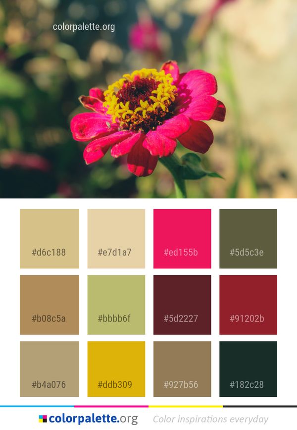 Flower Flora Close Up Color Palette