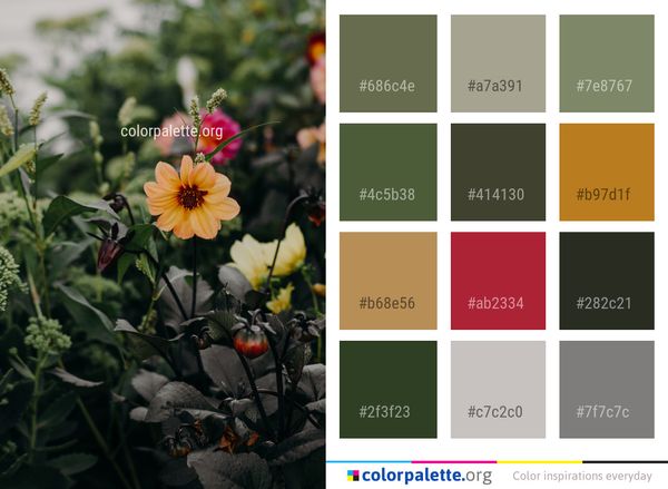 Flower Plant Flora Color Palette