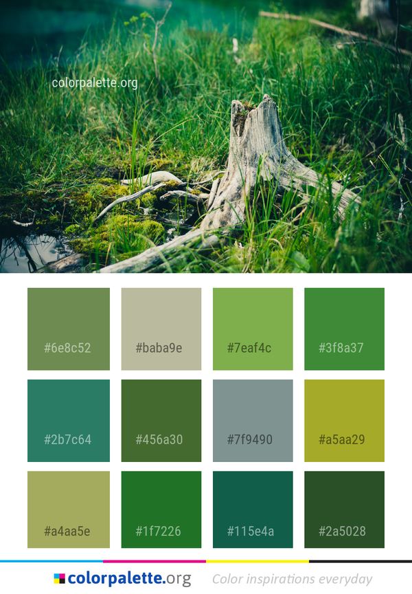 Green Ecosystem Vegetation Color Palette