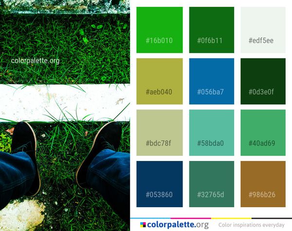 Green Plant Grass Color Palette