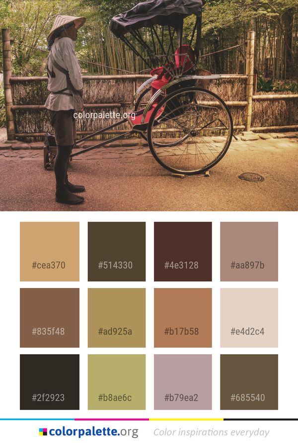 Land Vehicle Bicycle Road Color Palette