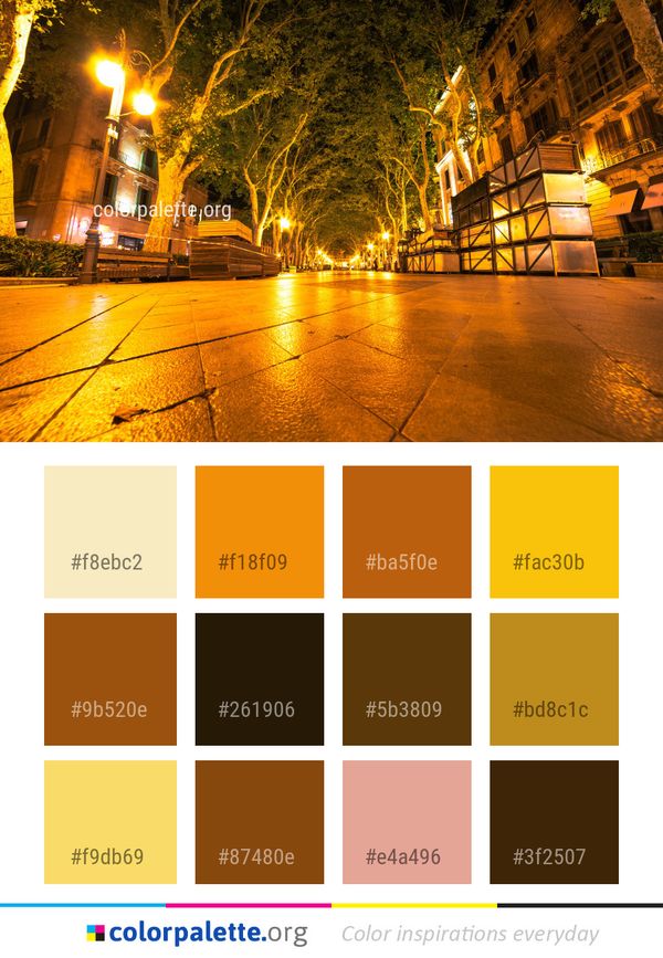 Night Yellow Landmark Color Palette