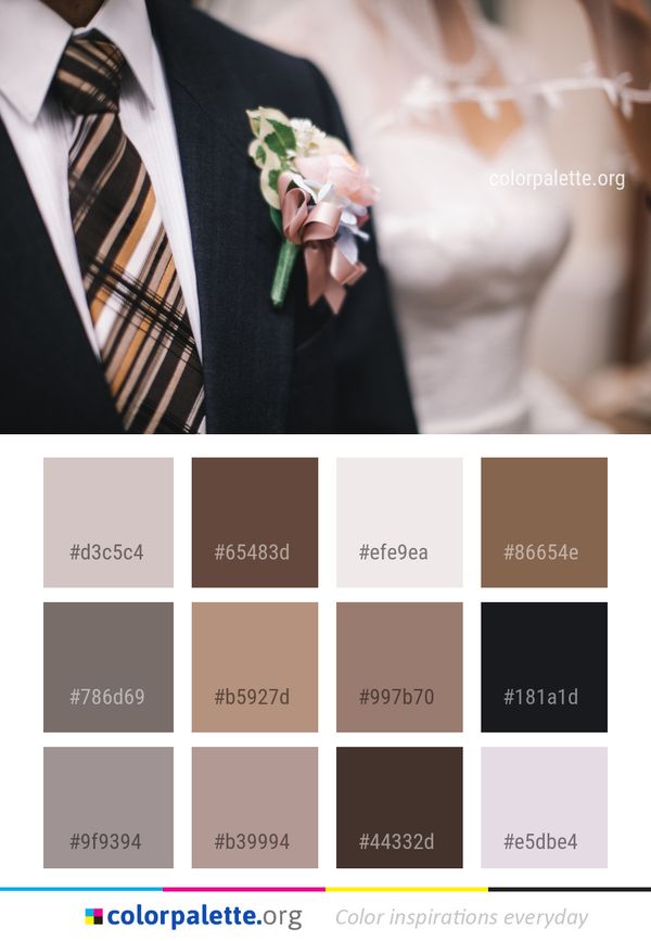 Photograph Flower Pink Color Palette