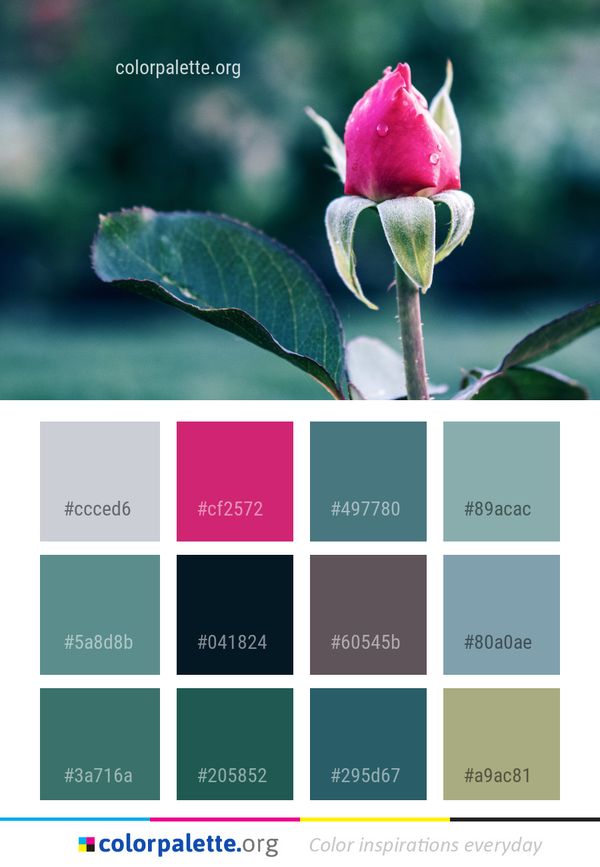 Pink Flower Plant Color Palette