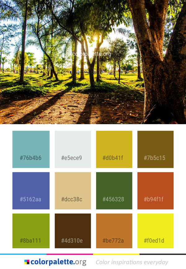 Tree Nature Woody Plant Color Palette