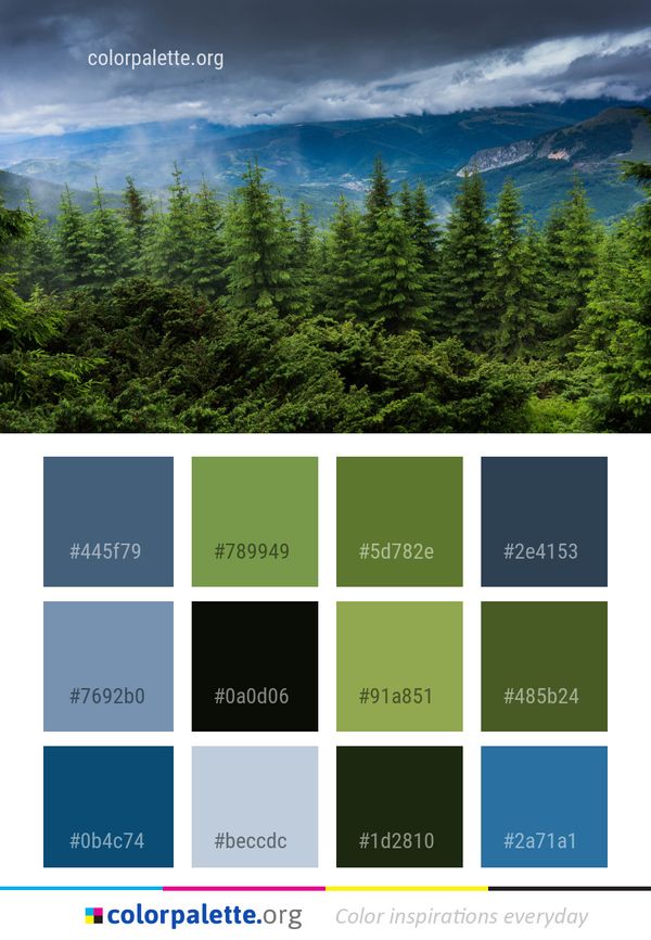 Vegetation Spruce Fir Forest Ecosystem Color Palette