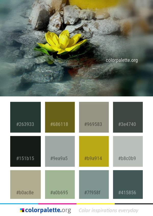 Water Flora Flower Color Palette