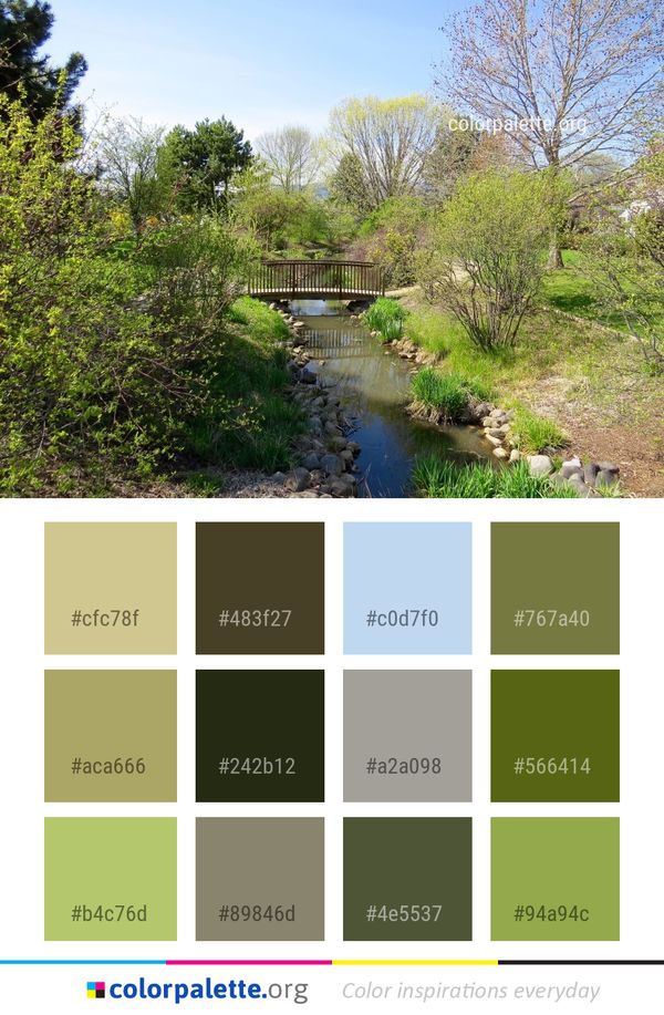 Waterway Vegetation Nature Reserve Color Palette