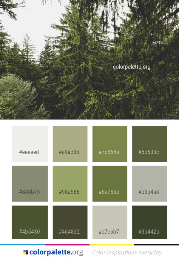 Ecosystem Tree Vegetation Color Palette