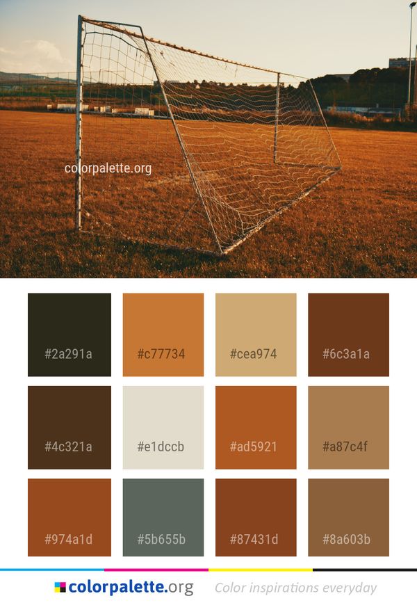 Field Net Structure Color Palette
