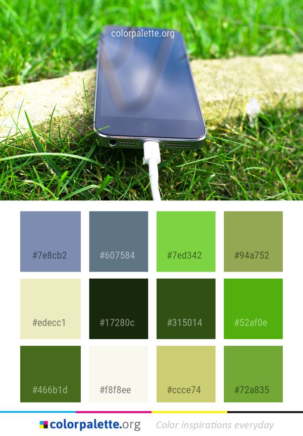 Grass Family Lawn Color Palette