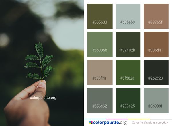 Green Leaf Hand Color Palette