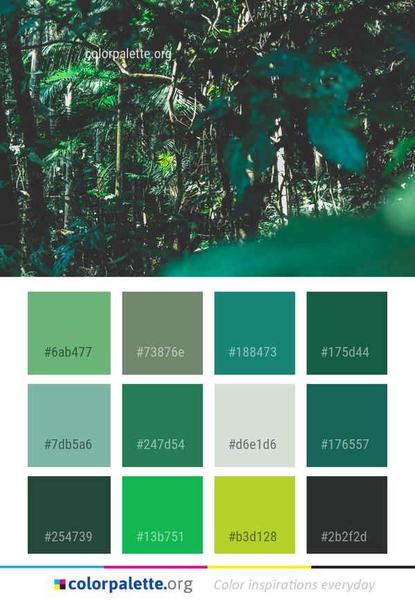 Green Nature Vegetation Color Palette