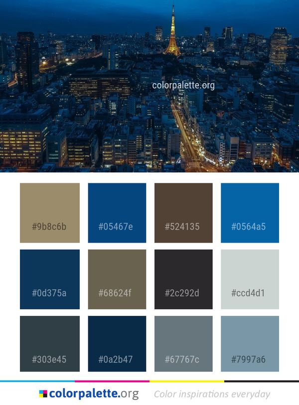 Metropolitan Area Cityscape City Color Palette