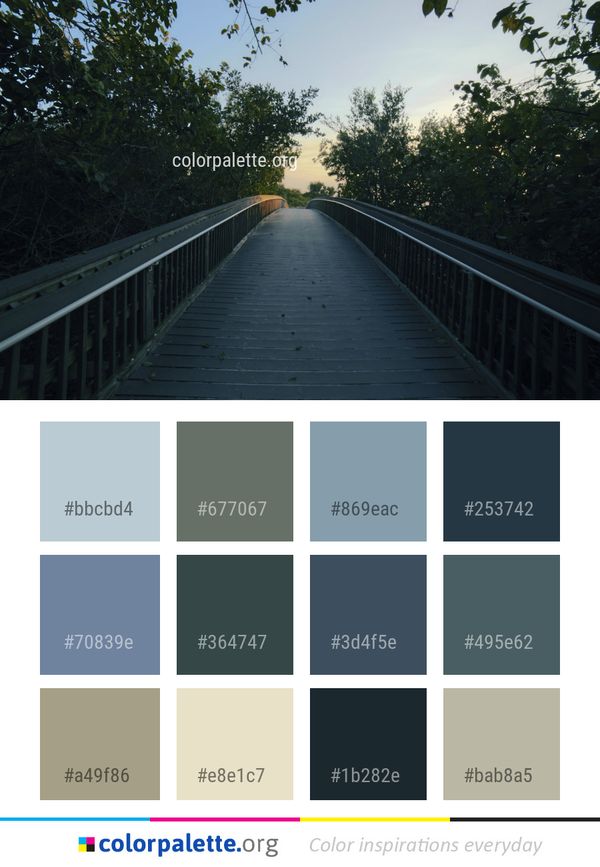 Nature Sky Tree Color Palette