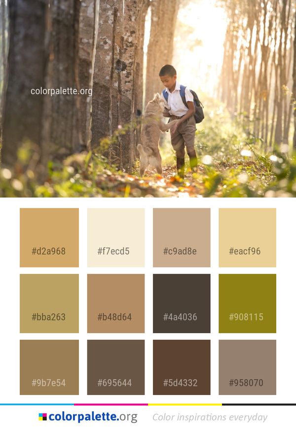Photograph Nature Tree Color Palette
