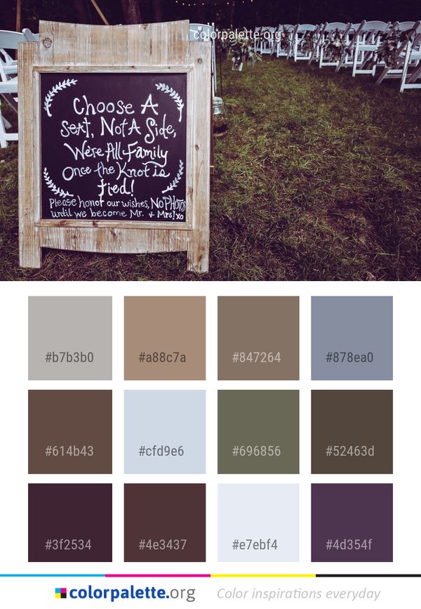 Photograph Tree Wood Color Palette