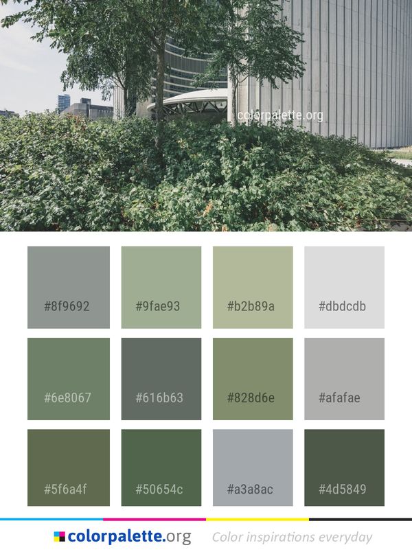 Plant Tree Property Color Palette