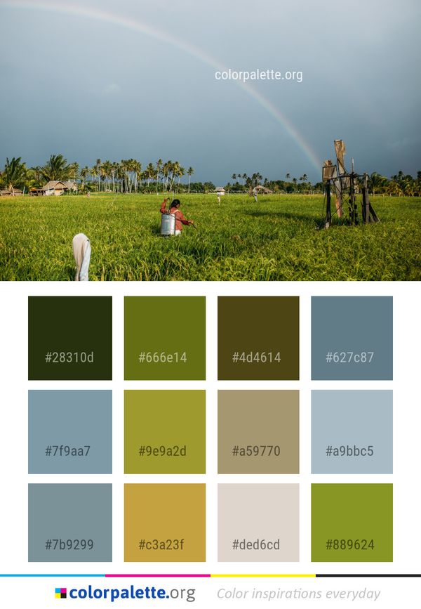 Rainbow Field Sky Color Palette
