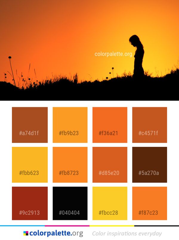 Sky Silhouette Sunset Color Palette