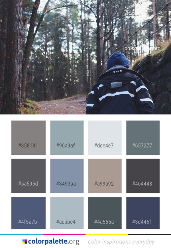 Tree Woody Plant Color Palette