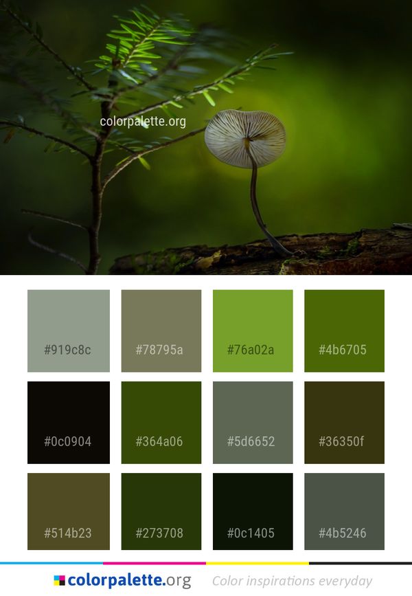 Vegetation Ecosystem Leaf Color Palette
