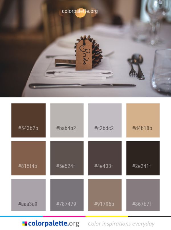 Dessert Table Chocolate Color Palette