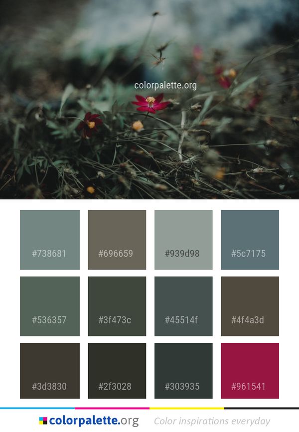 Flora Plant Vegetation Color Palette