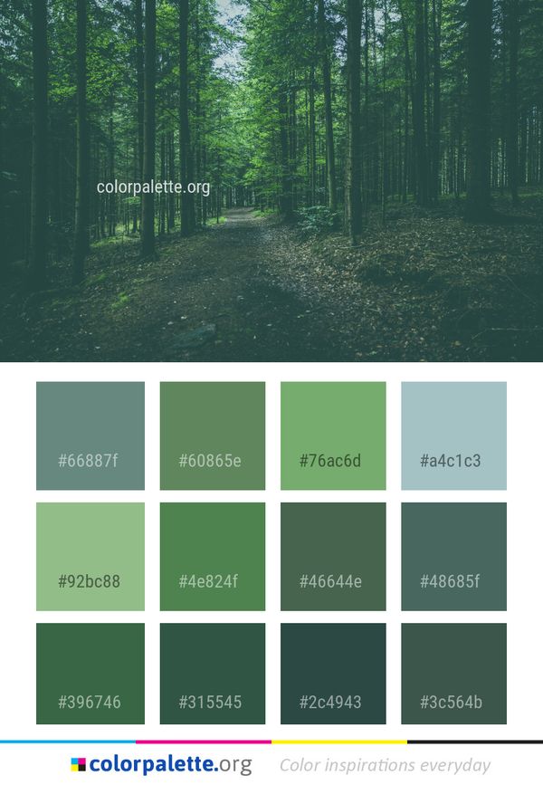 Forest Green Nature Color Palette
