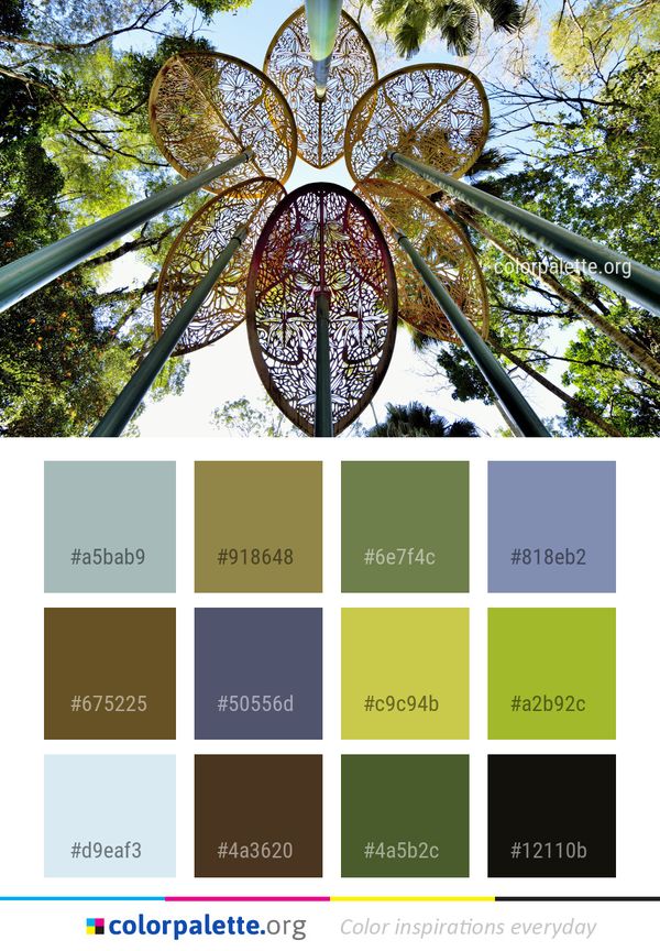 Leaf Tree Plant Color Palette
