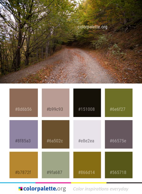 Path Road Woodland Color Palette