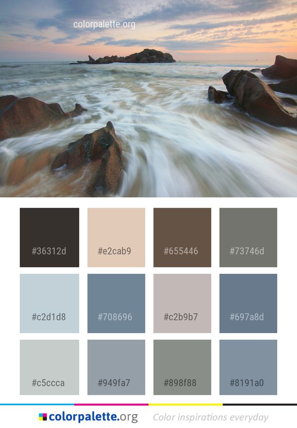 Sea Body Of Water Shore Color Palette