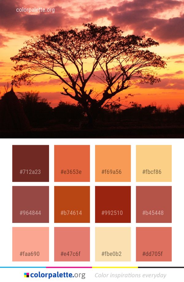 Sky Afterglow Savanna Color Palette