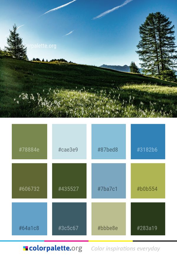 Sky Grassland Nature Color Palette